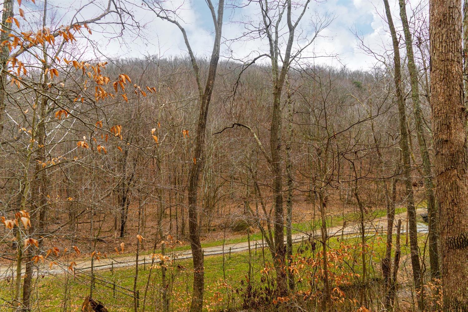 0 Tobe Lewis Road Lynx, OH 45650 - Photo 6 of 11 Gallery Image 6