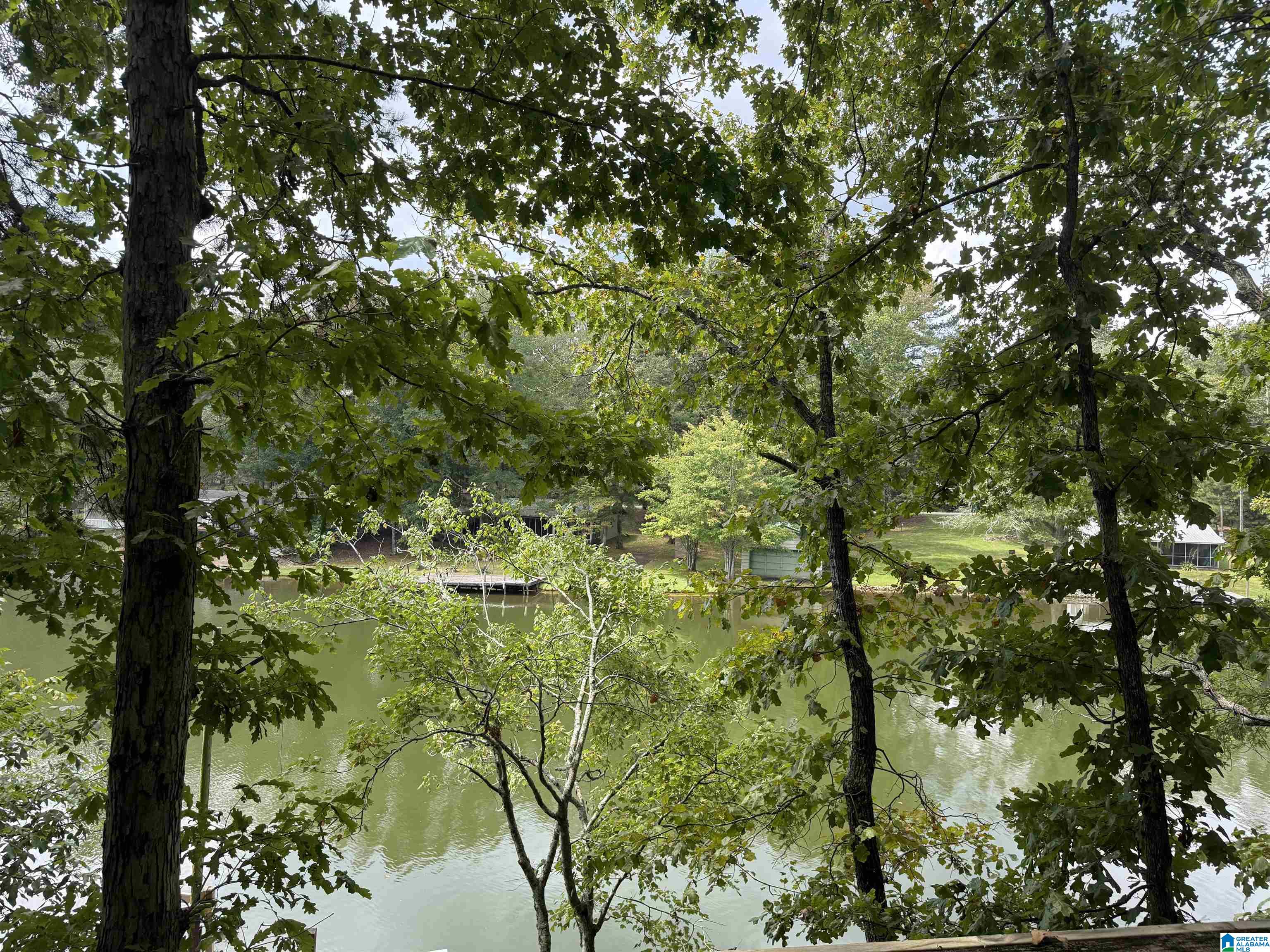 0 Lakeside Circle, Unit 31 Delta, AL 36258 - Photo 3 of 16
