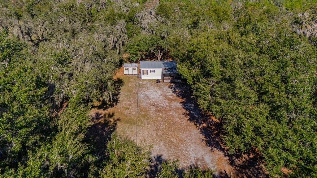 415 Hal Colding Road Lithia, FL 33547 - Photo 12 of 73 a view of a forest with trees all around