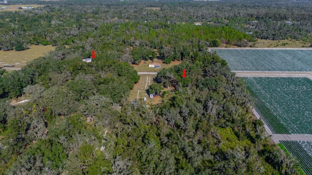 415 Hal Colding Road Lithia, FL 33547 - Photo 15 of 73 an aerial view of residential houses with outdoor space and trees