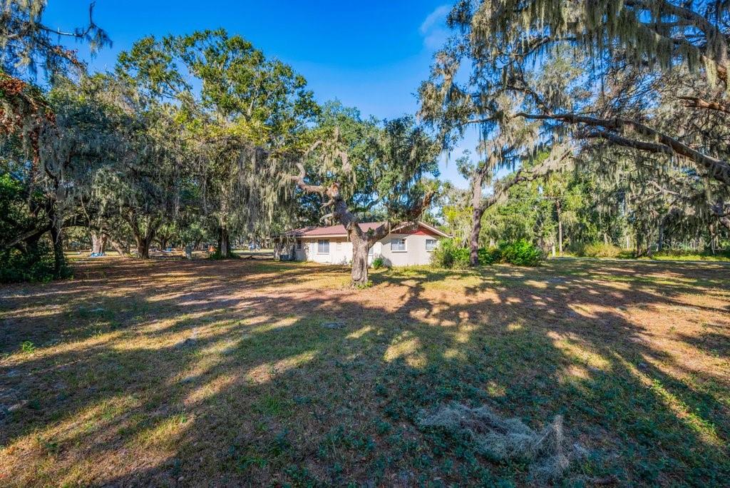 415 Hal Colding Road Lithia, FL 33547 - Photo 44 of 73 a view of outdoor space with deck and yard