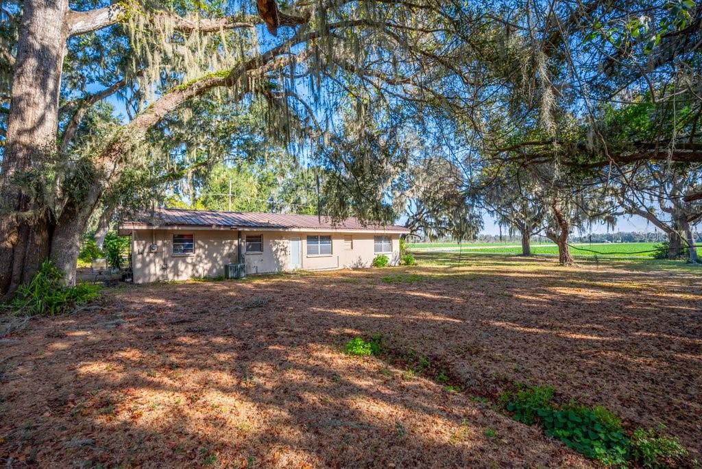 415 Hal Colding Road Lithia, FL 33547 - Photo 45 of 73 a view of a house with a yard