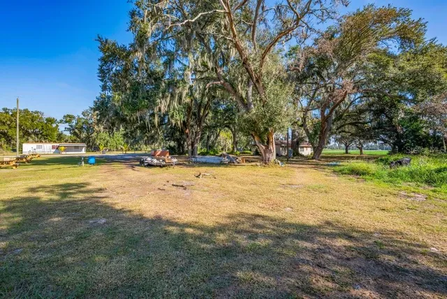 a view of outdoor space with trees