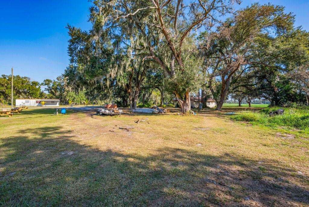 415 Hal Colding Road Lithia, FL 33547 - Photo 49 of 73 a view of swimming pool with trees