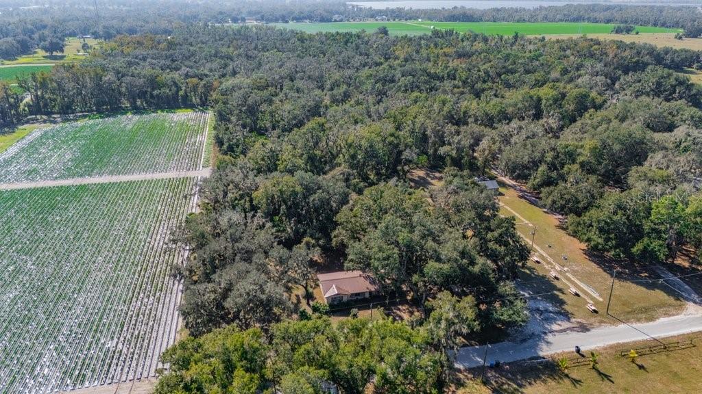 415 Hal Colding Road Lithia, FL 33547 - Photo 5 of 73