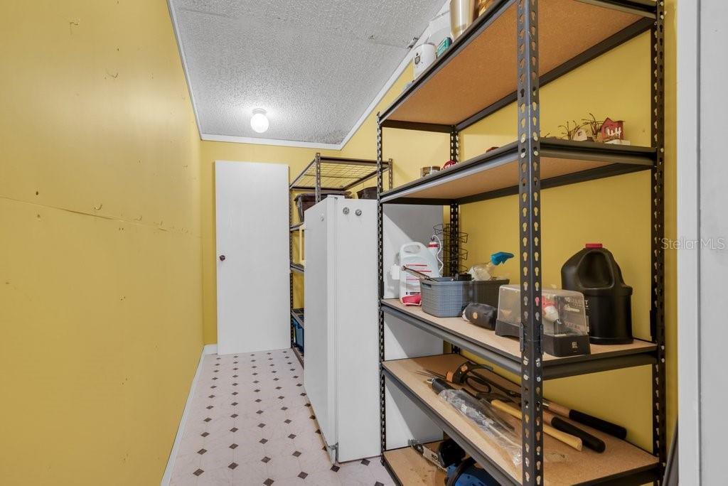 415 Hal Colding Road Lithia, FL 33547 - Photo 54 of 73