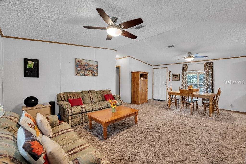 415 Hal Colding Road Lithia, FL 33547 - Photo 57 of 73 a living room with furniture and a large window