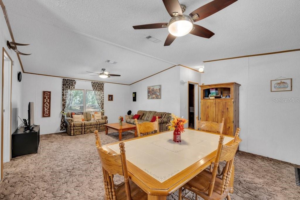 415 Hal Colding Road Lithia, FL 33547 - Photo 60 of 73