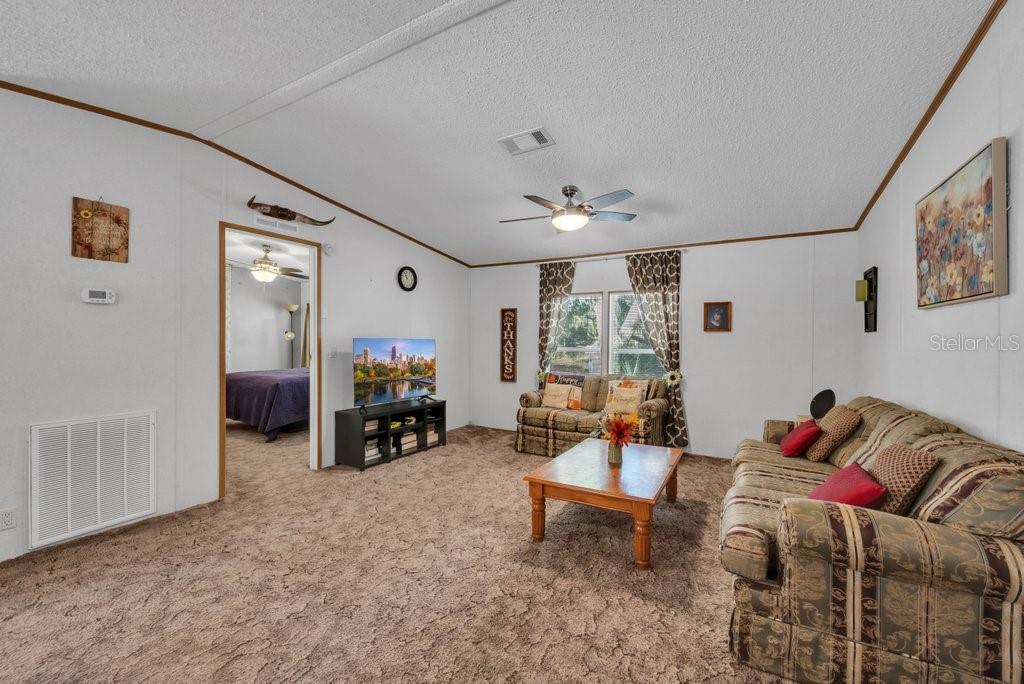 415 Hal Colding Road Lithia, FL 33547 - Photo 61 of 73 a living room with furniture and a fireplace