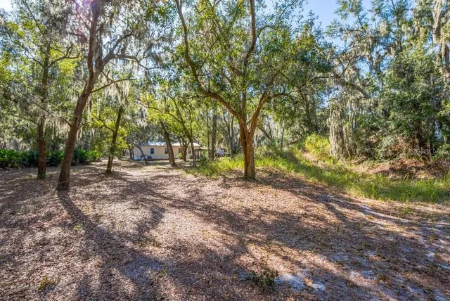 $1,000,000 | 415 Hal Colding Road, Lithia, FL 33547