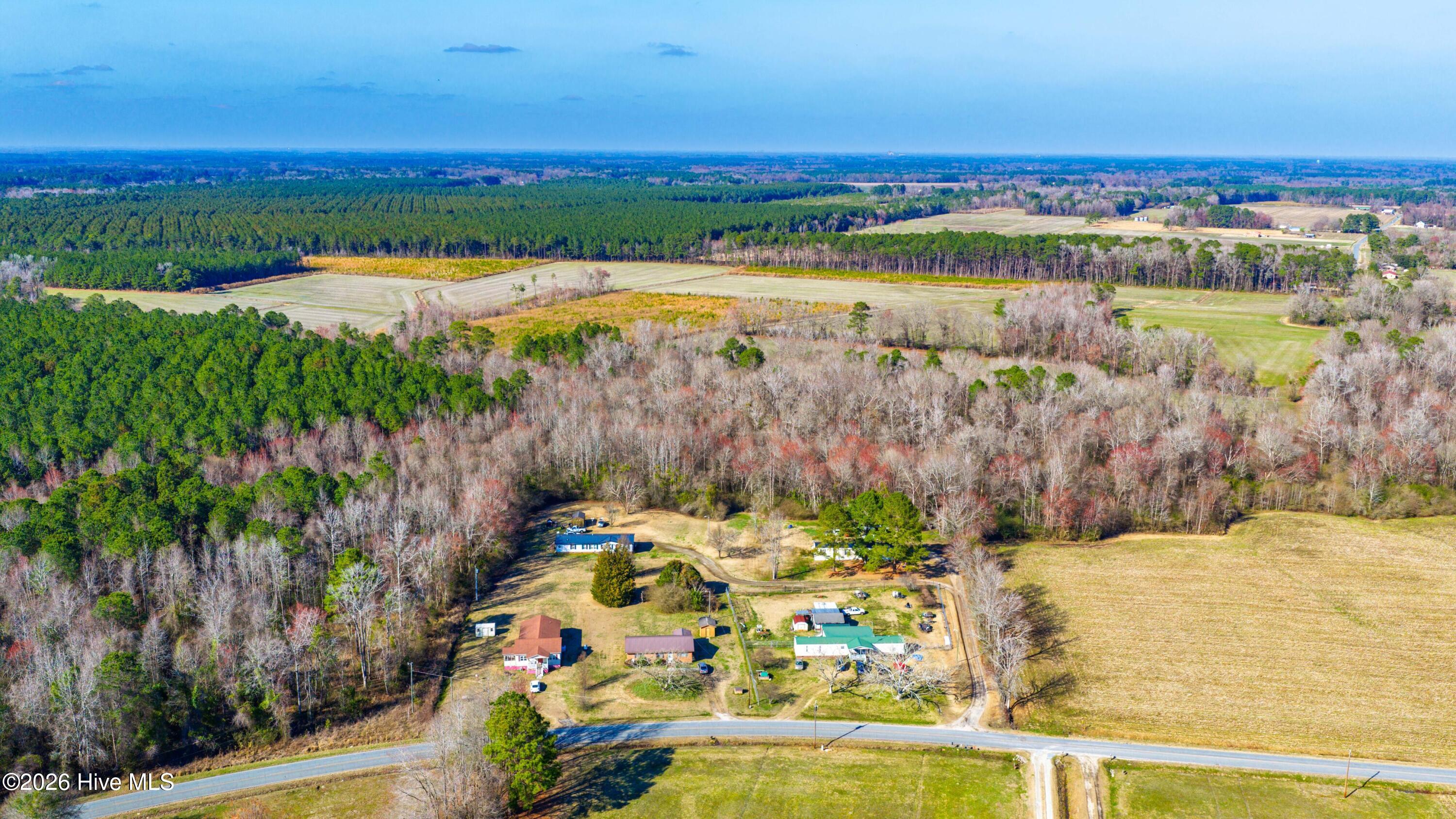 0 Englishtown Road Willard, NC 28478 - Photo 1 of 9 Gallery Image 1