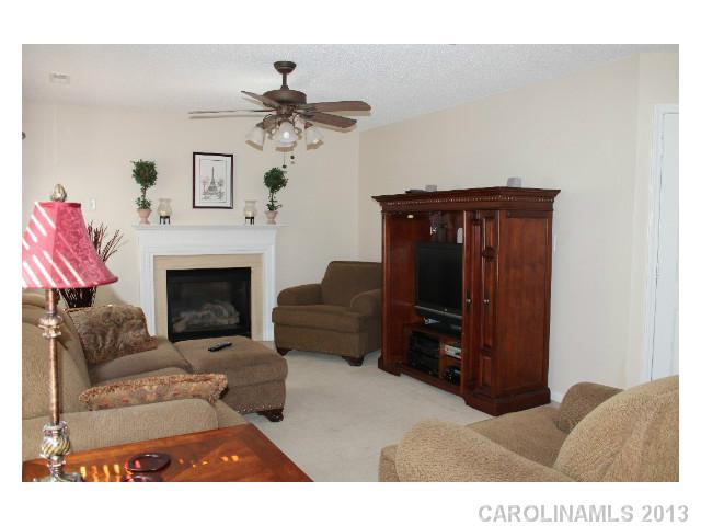 225 Chestnut Avenue Tega Cay, SC 29708 - Photo 2 of 12 Gallery Image 2