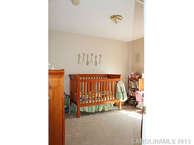 225 Chestnut Avenue Tega Cay, SC 29708 - Photo 8 of 12 Gallery Image 8