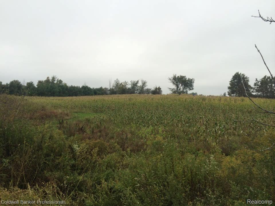 5945 Summers Road North Branch, MI 48461 - Photo 26 of 26 12107257_10153206901823693_3942058278194989928_n.jpg