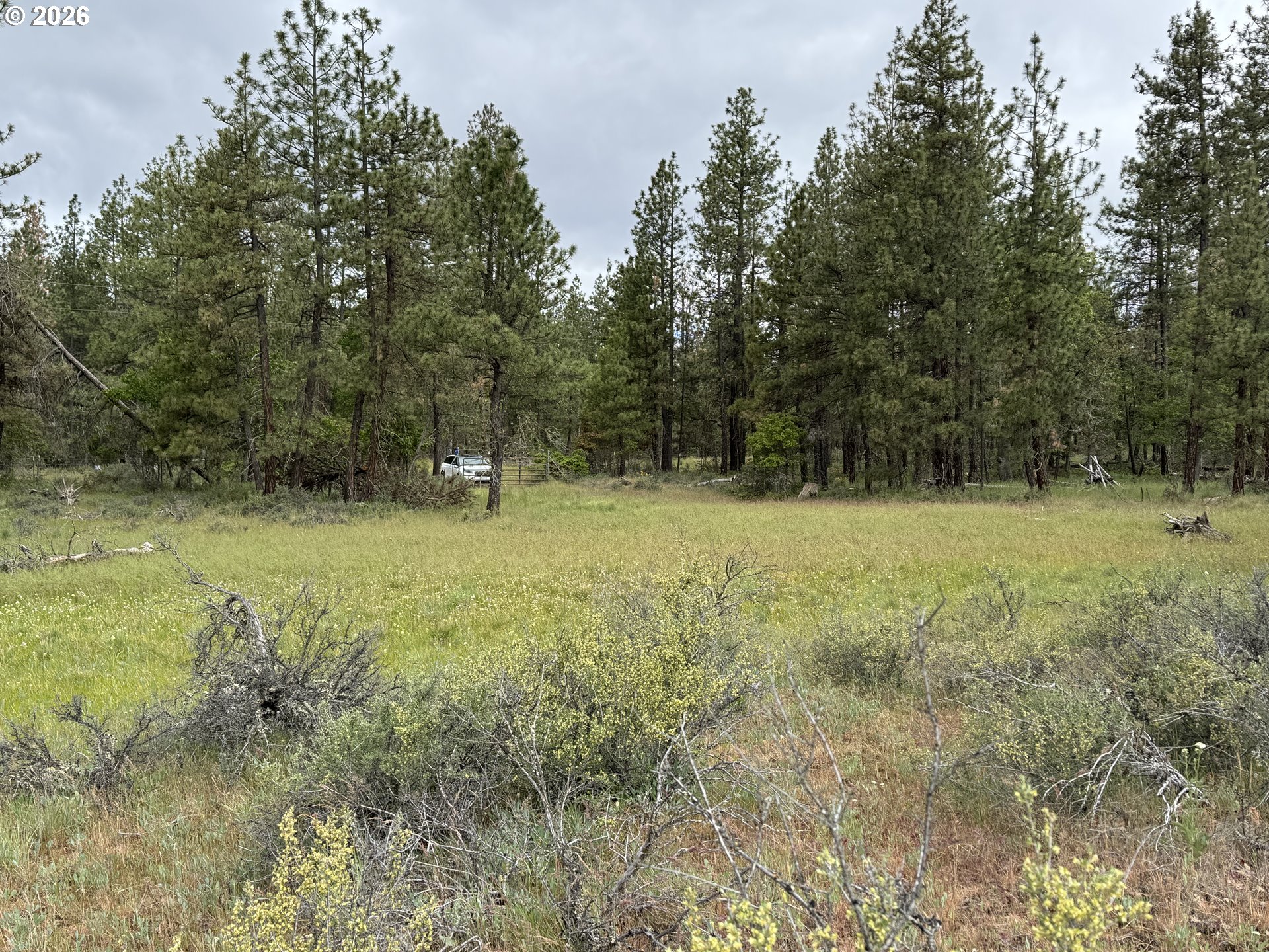 Old Mountain Road Goldendale, WA 98620 - Photo 33 of 41