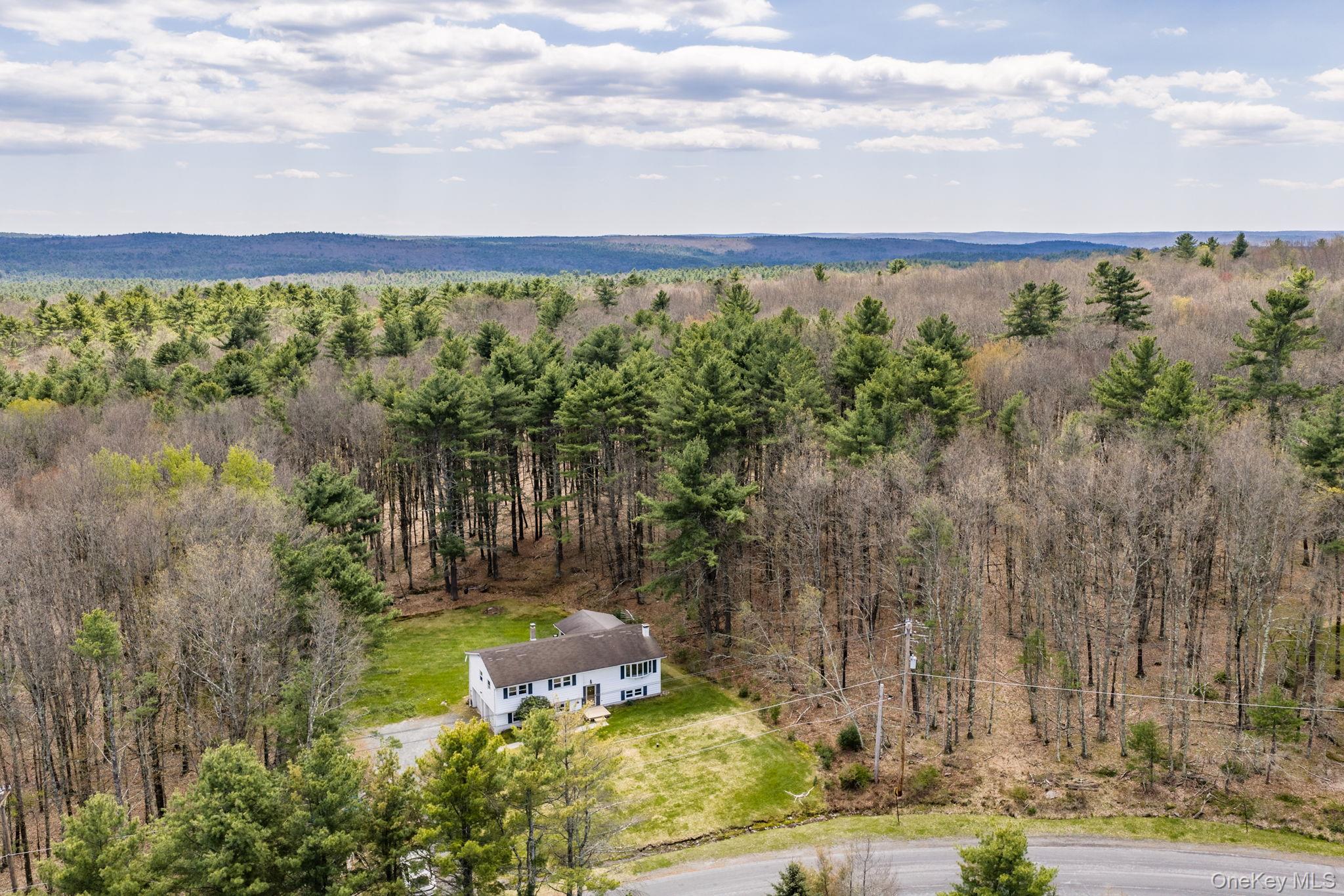 87 Airport Road Eldred, NY 12732 - Photo 29 of 30 a view of a yard with large trees