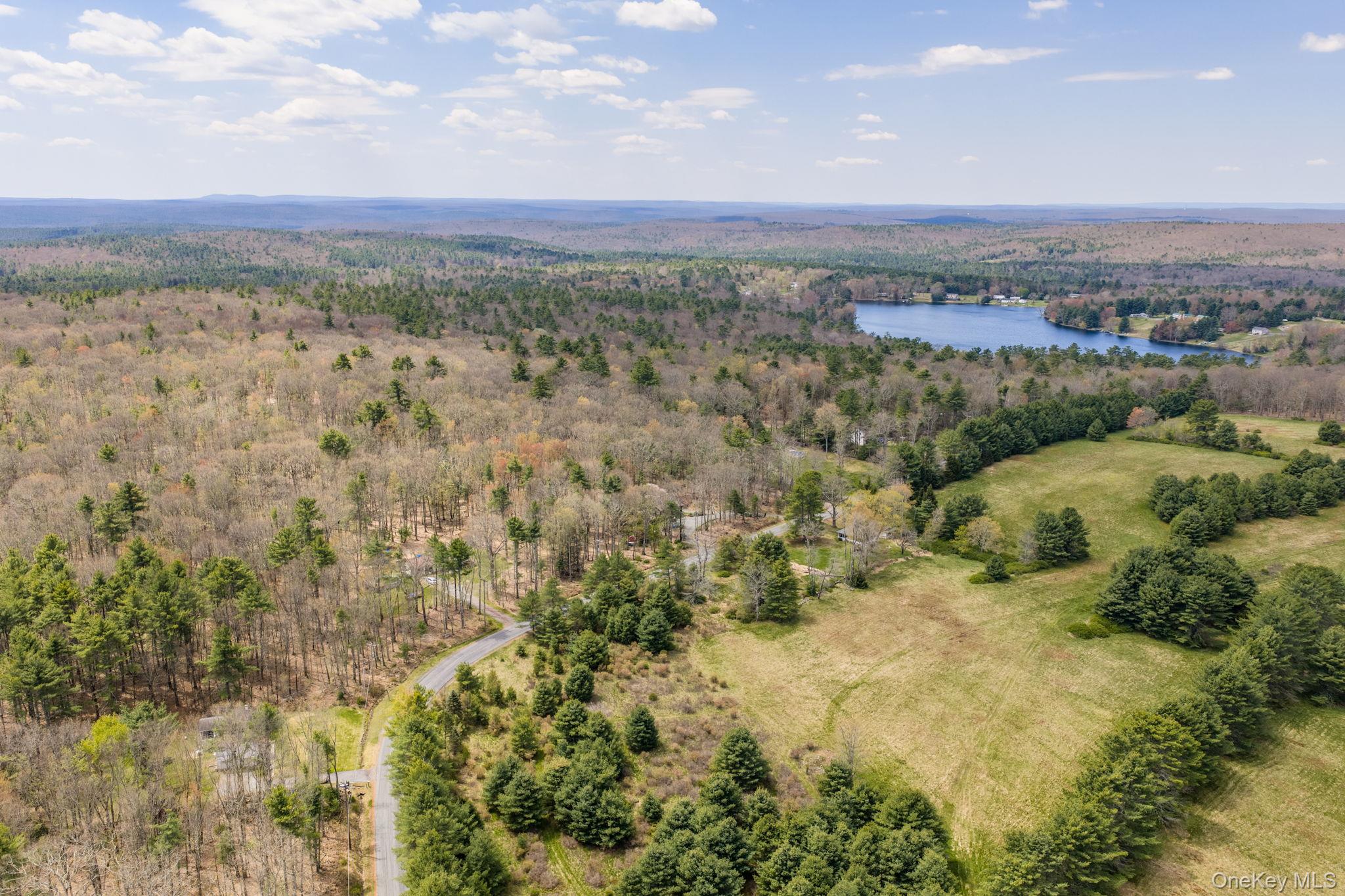 87 Airport Road Eldred, NY 12732 - Photo 4 of 30