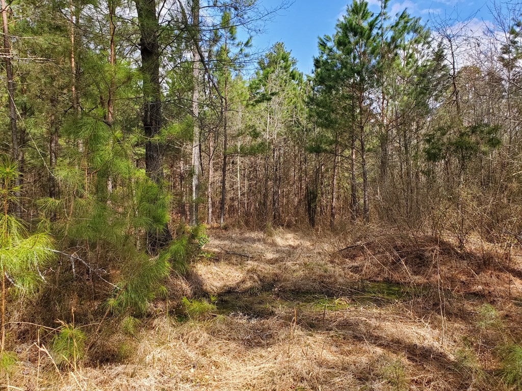 Pleasant Oak Road Victoria, VA 23974 - Photo 27 of 55 Gallery Image 27