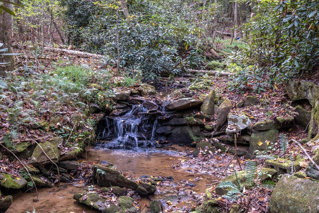 218 Hunter Vly Road Murphy, NC 28906 - Photo 4 of 41