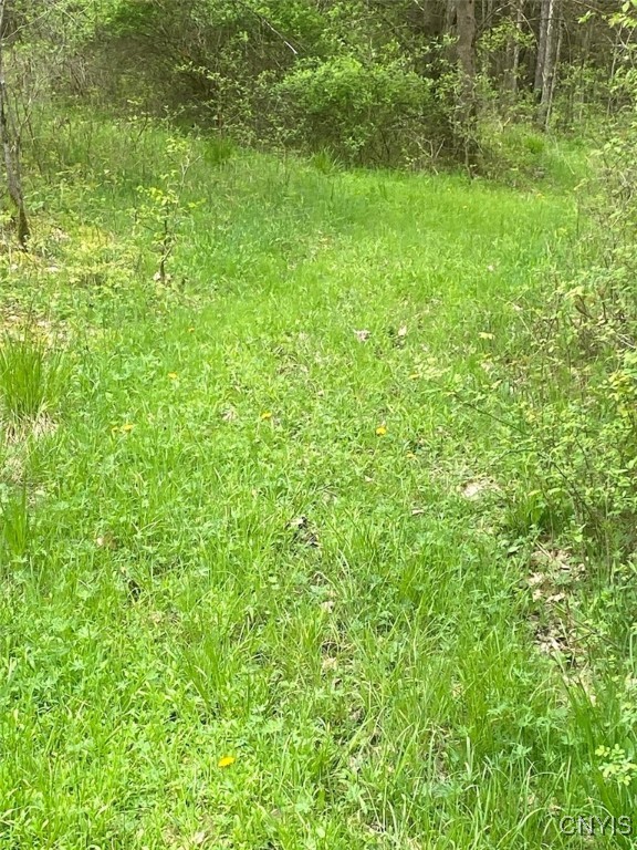 8321 Camp Road Caneadea, NY 14711 - Photo 16 of 26