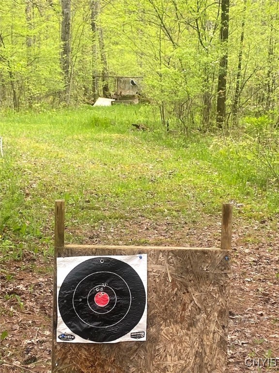 8321 Camp Road Caneadea, NY 14711 - Photo 17 of 26