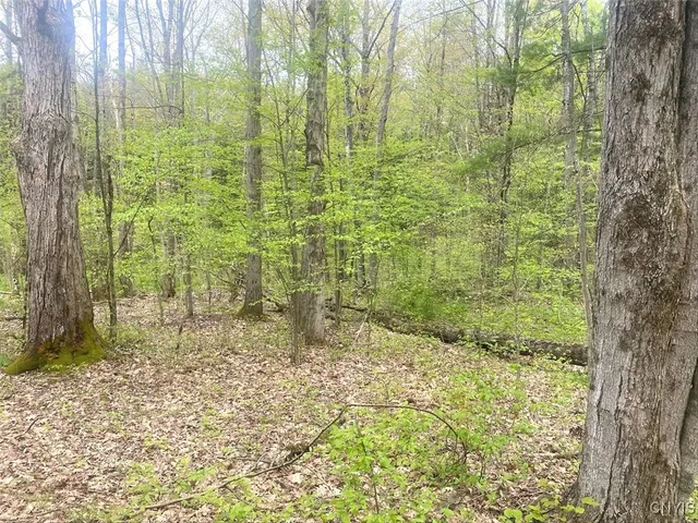 $144,900 | 8321 Camp Road, Caneadea, NY 14711