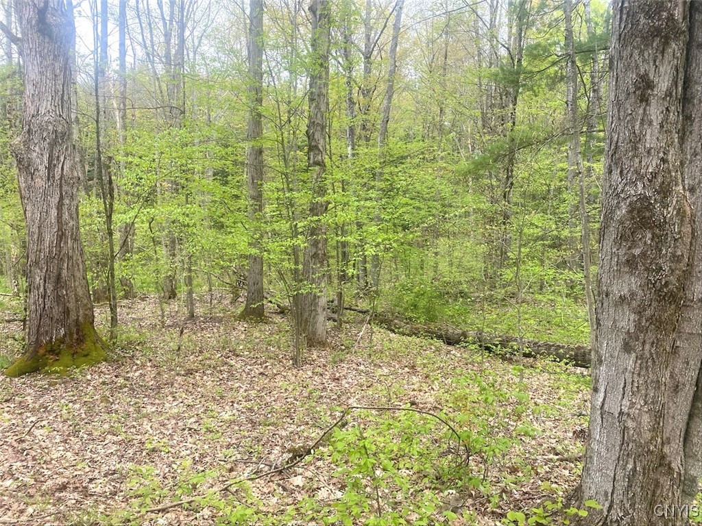 8321 Camp Road Caneadea, NY 14711 - Photo 18 of 26