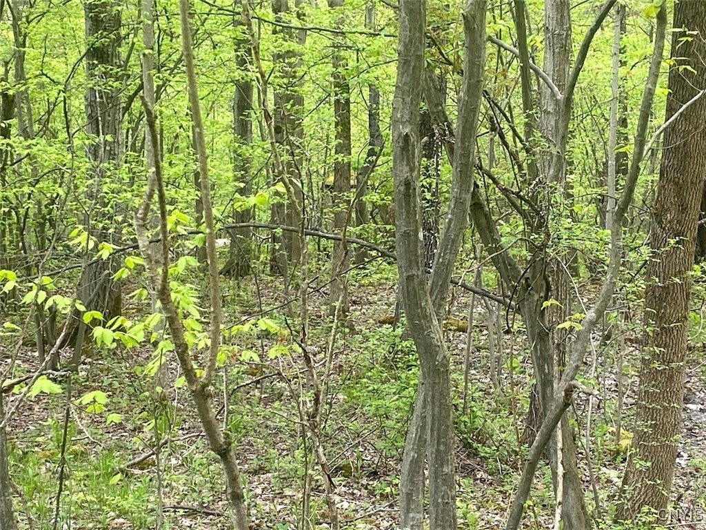 8321 Camp Road Caneadea, NY 14711 - Photo 19 of 26