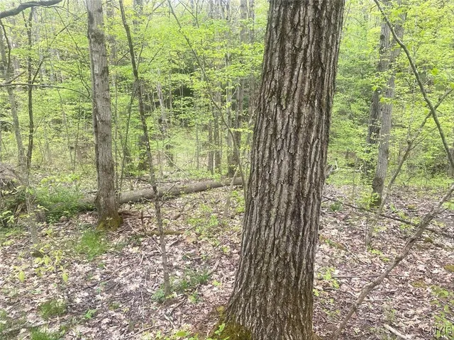 $144,900 | 8321 Camp Road, Caneadea, NY 14711