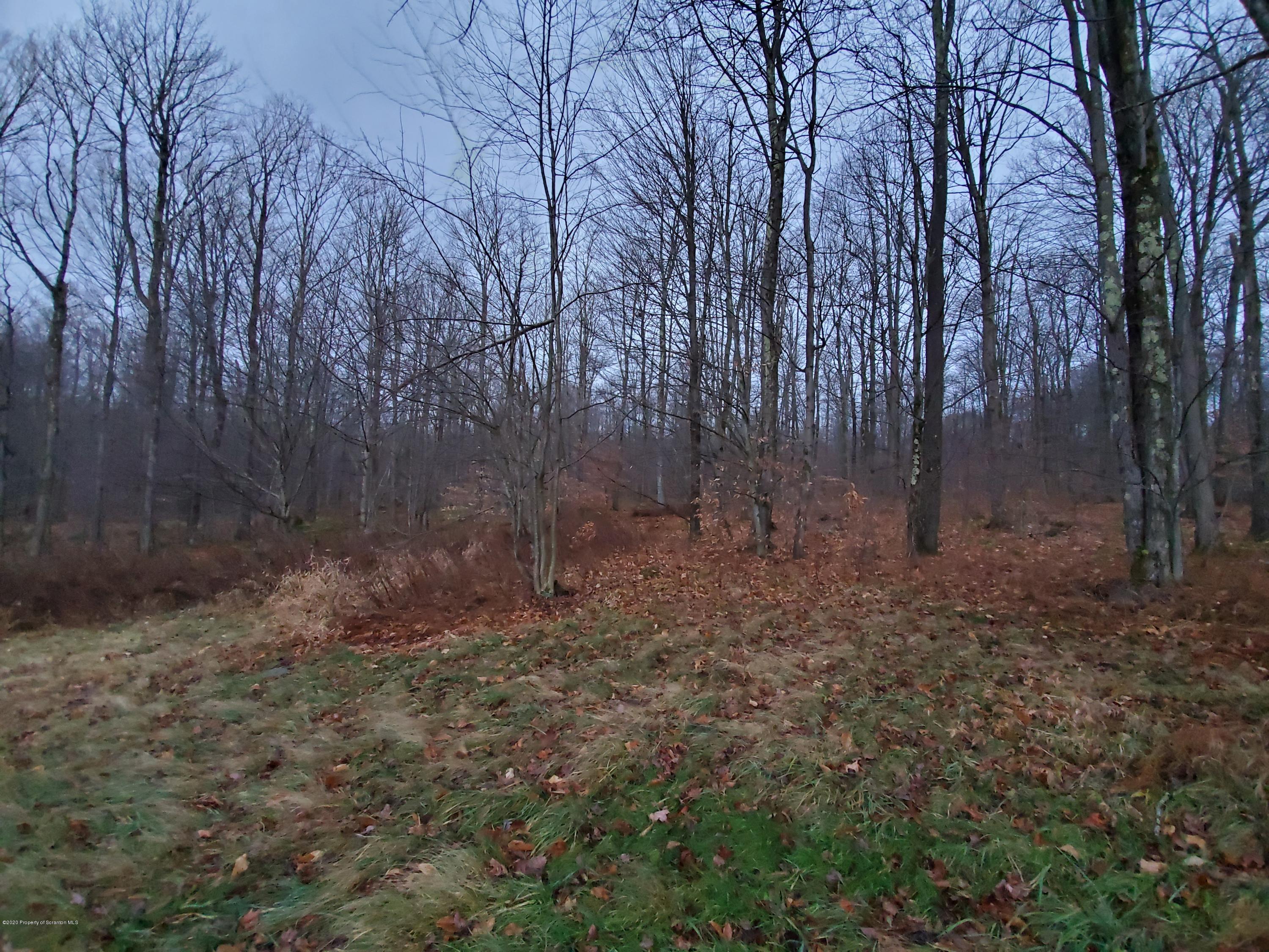 335 Mud Pond Road Union Dale, PA 18470 - Photo 3 of 5 20201115_155521
