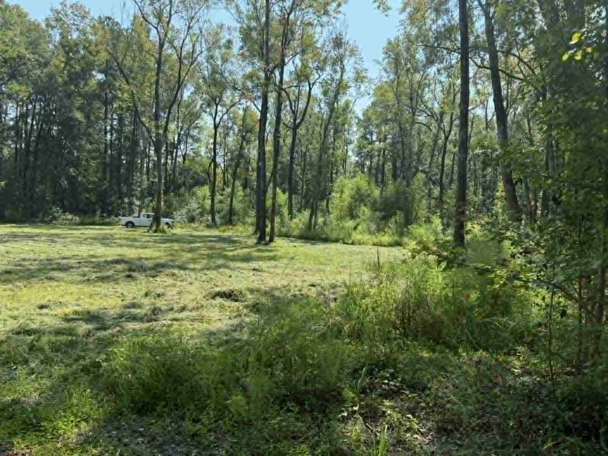 133 Boykin Lane Ridgeville, SC 29472 - Photo 7 of 7 beyc68f96a5901740