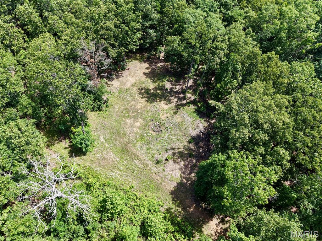 6483 Wayne Rte P Lowndes, MO 63951 - Photo 21 of 37