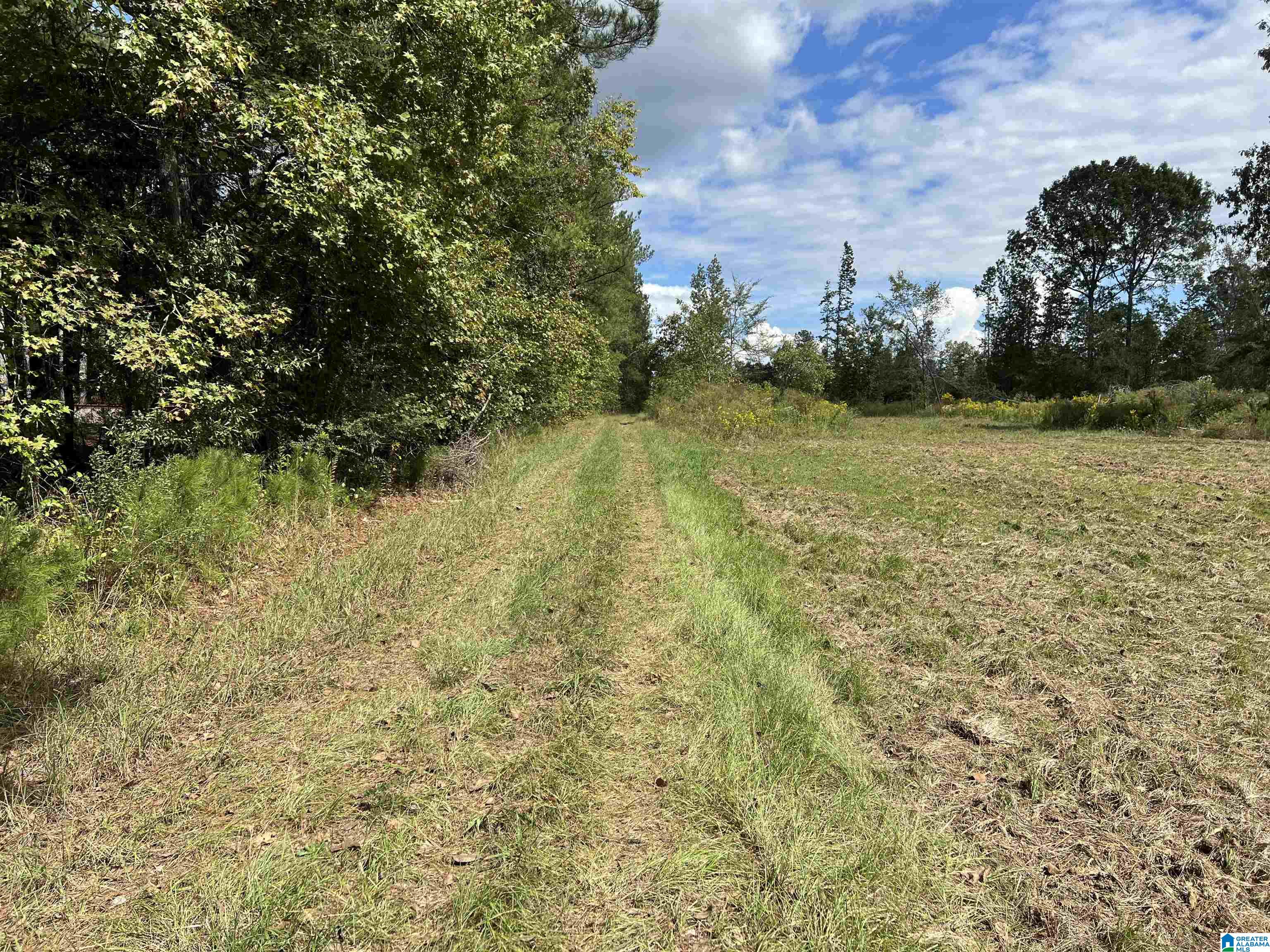 0 Sweatt Road Steele, AL 35987 - Photo 11 of 11