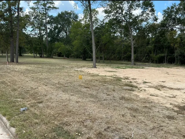 a backyard of a house with lots of trees