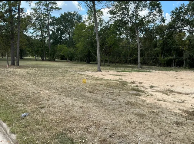 a view of a backyard with green space