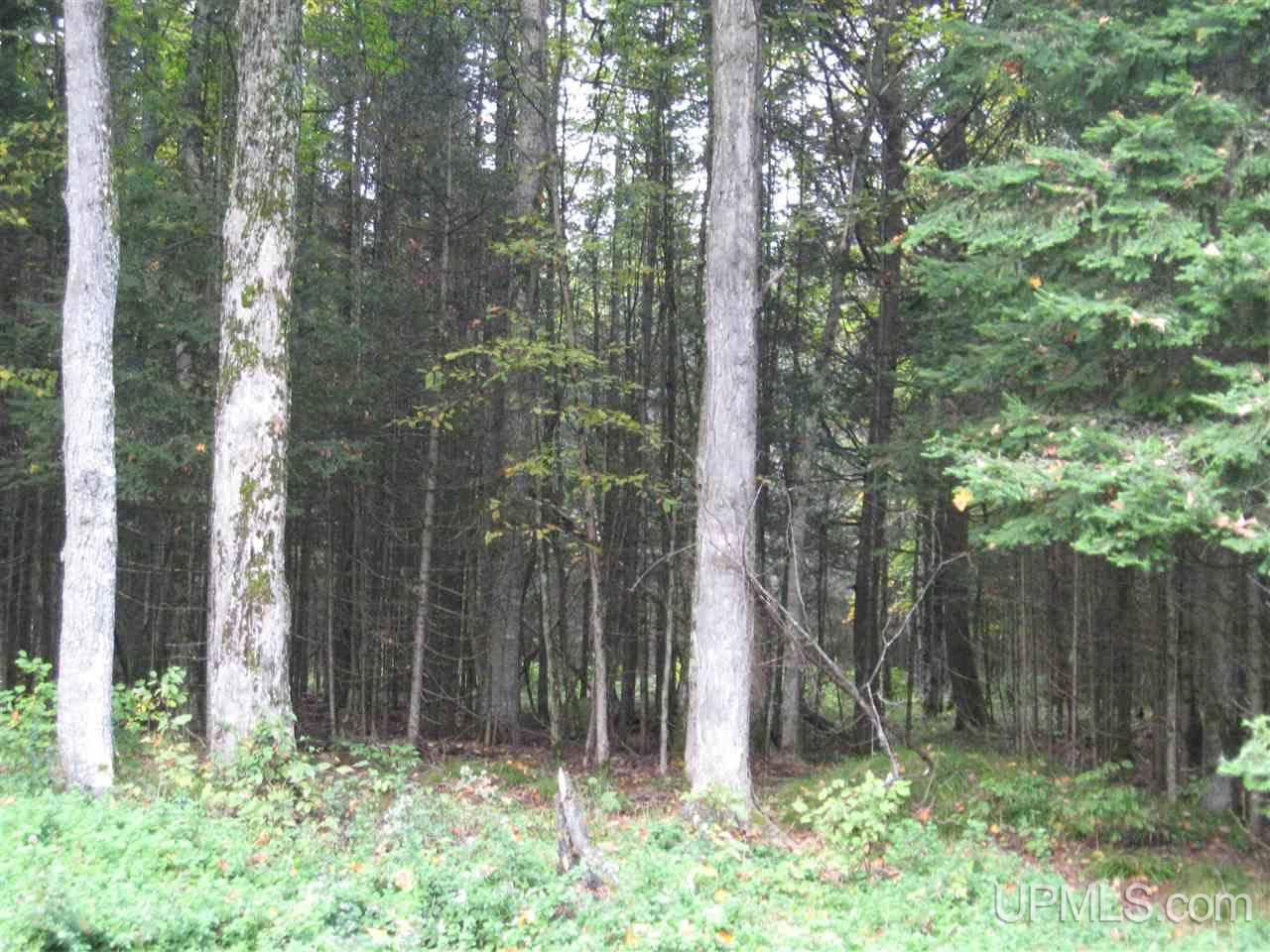 10697 South 75 Road Rapid River, MI 49878 - Photo 23 of 23