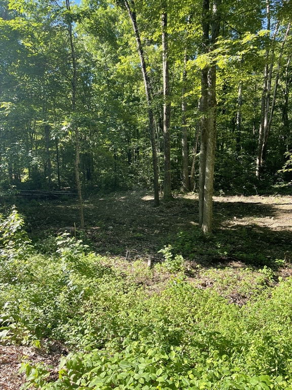 Lot A Ware Road Belchertown, MA 01007 - Photo 3 of 4