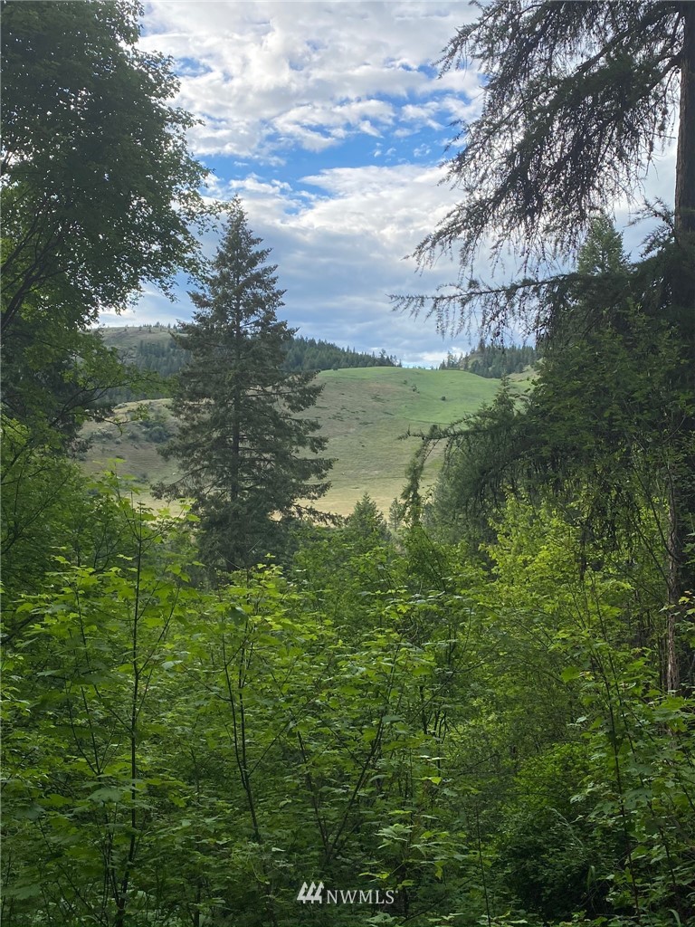 2606 Pleasant Valley Road Rice, WA 99167 - Photo 7 of 10 a view of lake with green space