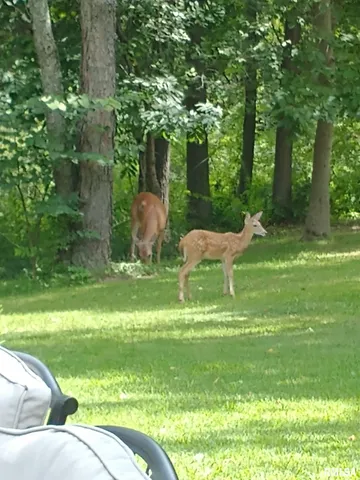 $270,000 | 8039 Hazel Road, Morrison, IL 61270