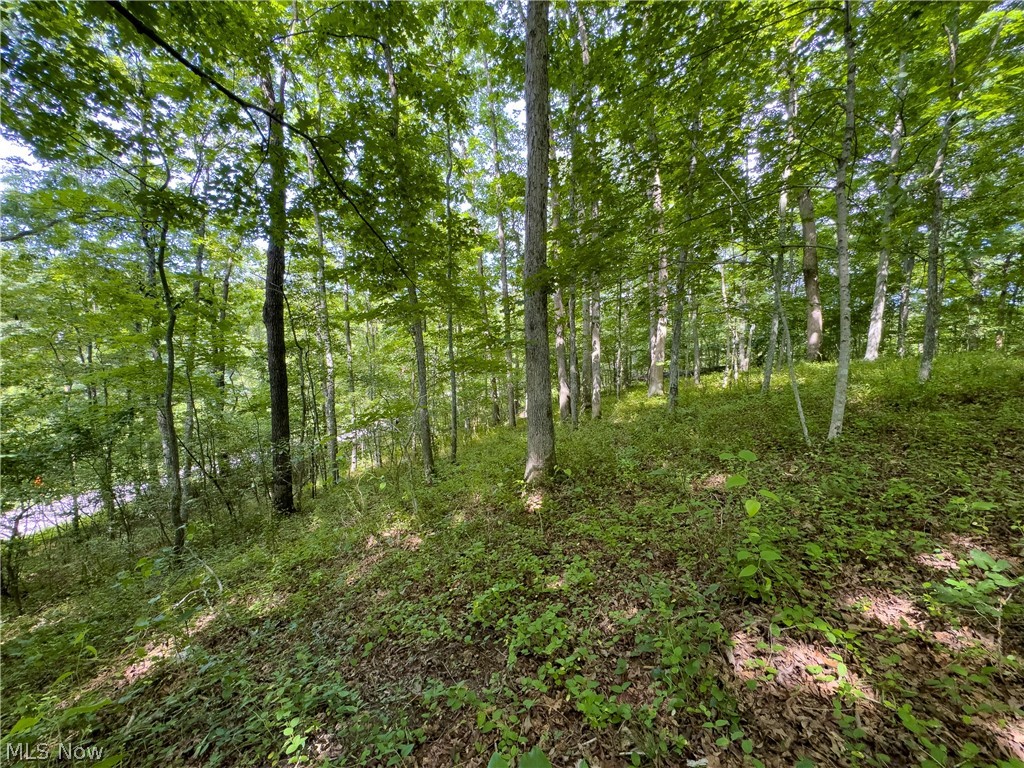 5 Jake Road Patriot, OH 45658 - Photo 11 of 17