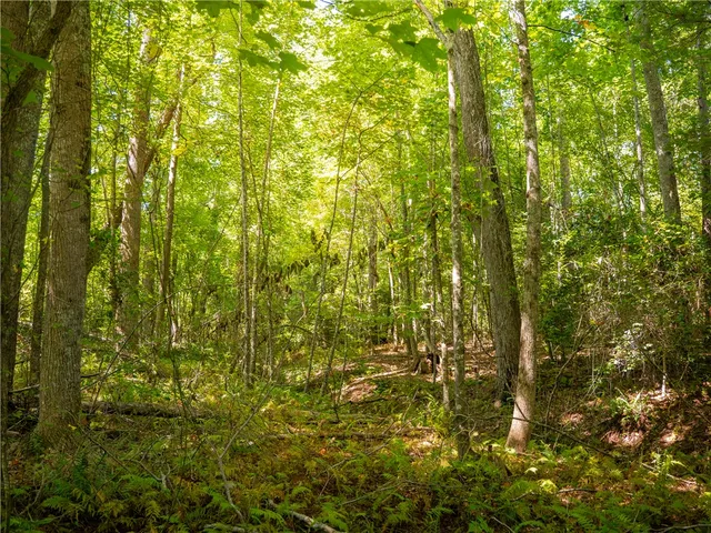 $300,000 | 4 Hood Road, Easley, SC 29640