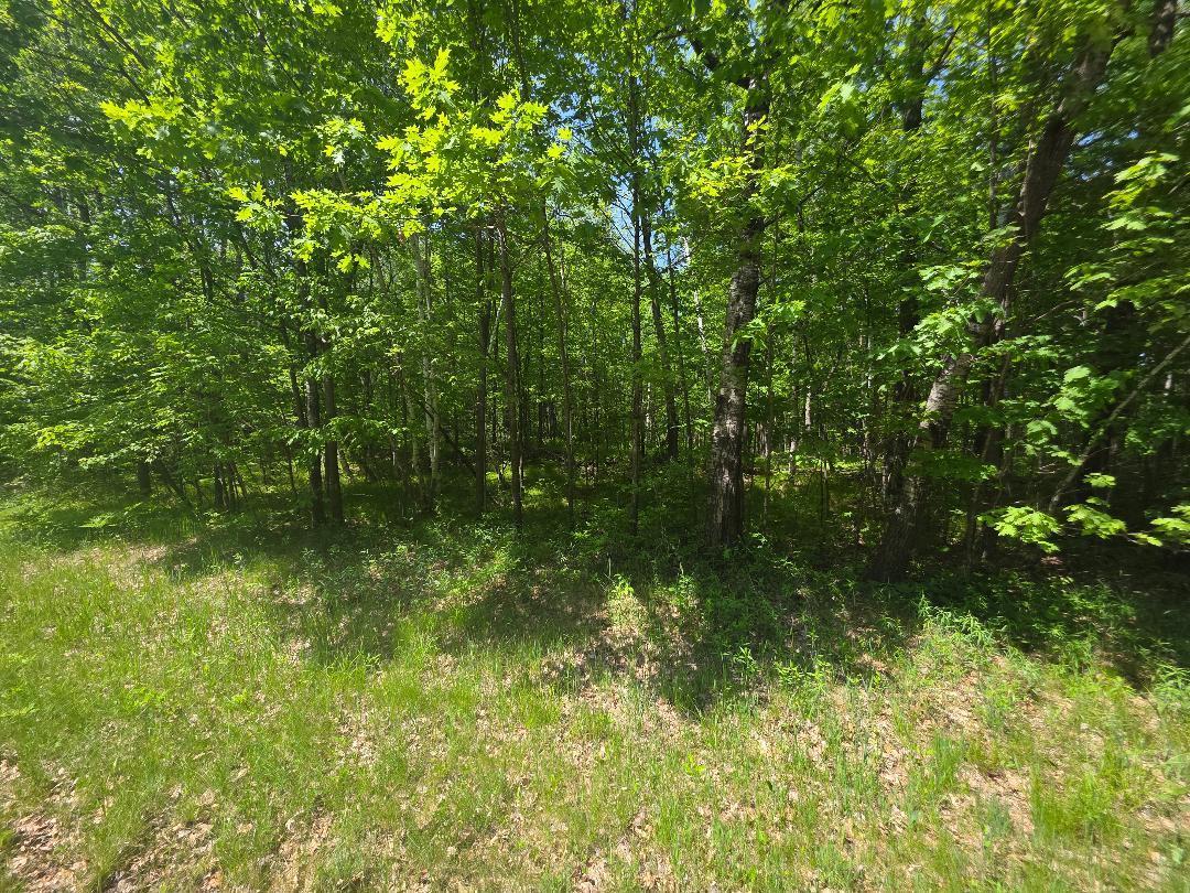 0 26 1/2 Cumberland, WI 54829 - Photo 2 of 11