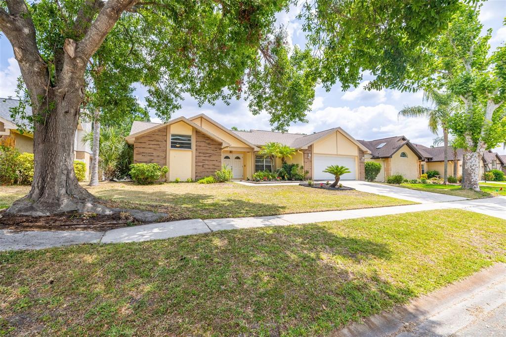 1426 Buckner Road Valrico, FL 33596 - Photo 3 of 42