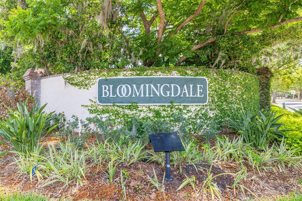 1426 Buckner Road Valrico, FL 33596 - Photo 41 of 42