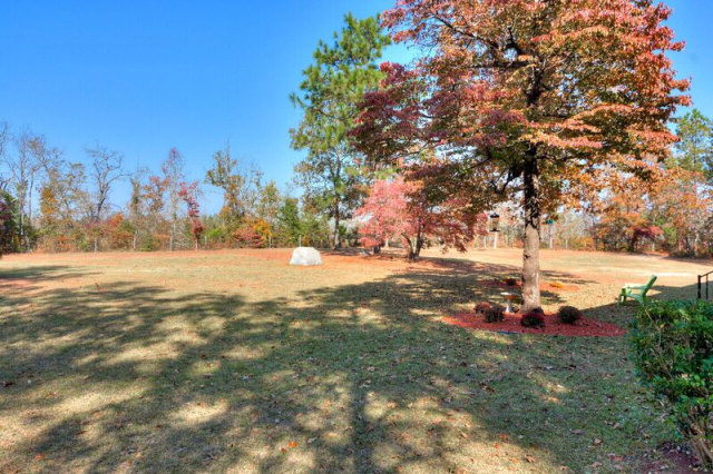 83 Beck Road Williston, SC 29853 - Photo 39 of 45
