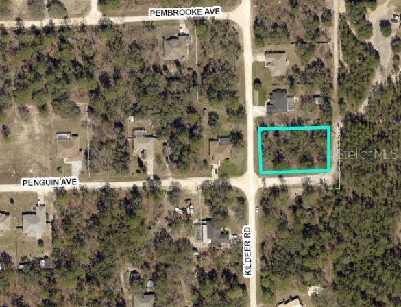 13206 Kildeer Road Weeki Wachee, FL 34614 - Photo 1 of 1 Gallery Image 1