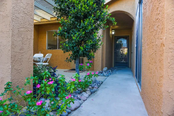 a flower plants in front of a door