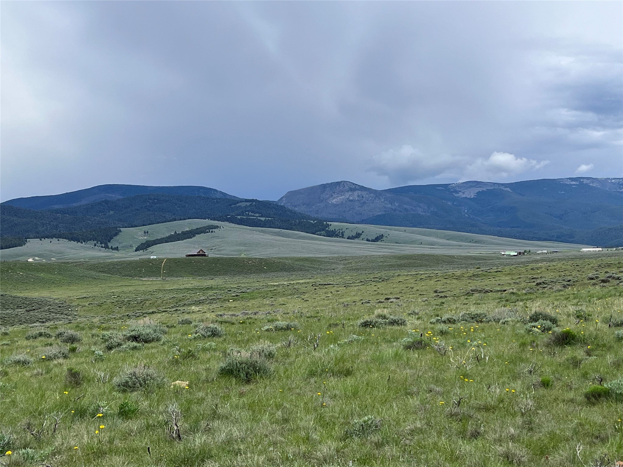 21 Steel Creek Road Wisdom, MT 59761 - Photo 9 of 11 Gallery Image 9