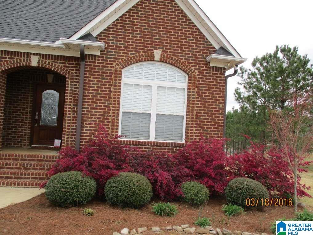 816 Ransome Drive Oneonta, AL 35121 - Photo 28 of 43