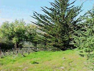 627 Scotland Drive Santa Rosa, CA 95409 - Photo 3 of 4